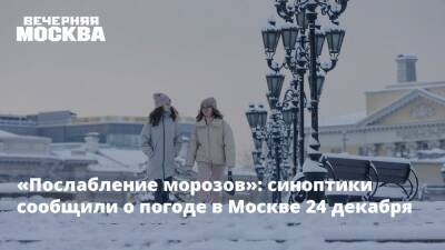 «Послабление морозов»: синоптики сообщили о погоде в Москве 24 декабря - vm.ru - Москва - Московская обл. - Москва