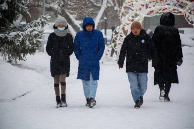 Морозы вернутся в Новосибирск после оттепели - novos.mk.ru - Новосибирск