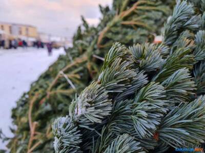 Перед Новым годом Сахалин и Курилы заметет и проморозит - sakhalin.info - Южно-Сахалинск
