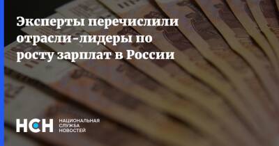 Эксперты перечислили отрасли-лидеры по росту зарплат в России - nsn.fm - Россия