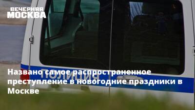 Названо самое распространенное преступление в новогодние праздники в Москве - vm.ru - Москва - Россия - Москва
