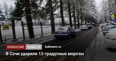 В Сочи ударили 12-градусные морозы - kubnews.ru - Сочи - Краснодарский край - Сочи