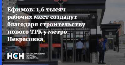 Владимир Ефимов - Ефимов: 1,6 тысяч рабочих мест создадут благодаря строительству нового ТРК у метро Некрасовка - nsn.fm - Москва