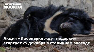 Акция «В зоопарке ждут подарки» стартует 25 декабря в столичном зоосаде - vm.ru