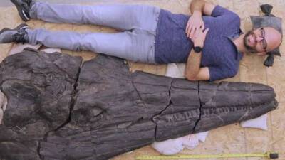 В Неваде нашли останки гигантского «морского дракона» - mir24.tv - шт. Невада - шт. Калифорния