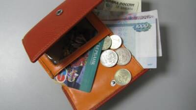 Большинство пензенцев потратят годовую премию на погашение долгов - penzainform.ru - Пенза