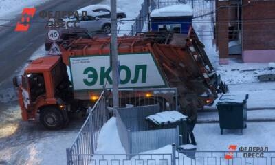 Елен Майоров - В Челябинской области подорожает вывоз мусора в июле 2022 года - fedpress.ru - Челябинская обл.
