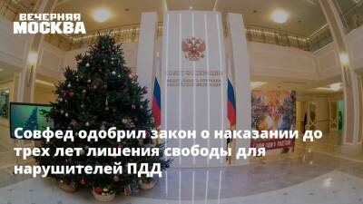 Совфед одобрил закон о наказании до трех лет лишения свободы для нарушителей ПДД - vm.ru - Россия