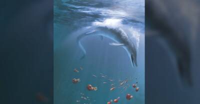 В США обнаружили останки морского чудовища размером с кита - kp.ua - США - Украина - шт. Невада