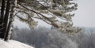 Снег, гололедица и до -14°С ожидается в Беларуси 24 декабря - grodnonews.by - Белоруссия