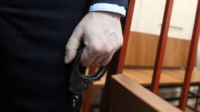 Суд арестовал бросившую детей в овраг жительницу Саратовской области - iz.ru - Россия - Израиль - Саратовская обл.