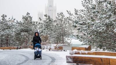 Татьяна Позднякова - Синоптик Позднякова рассказала о погоде в Москве 31 декабря - russian.rt.com - Москва - Россия - Московская обл.