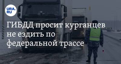 ГИБДД просит курганцев не ездить по федеральной трассе - ura.news - Россия - Казахстан - Челябинская обл. - Курганская обл.