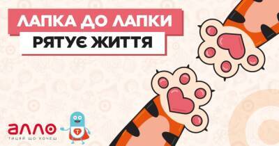 "Лапка до лапки рятує життя": АЛЛО устроил новогоднюю благотворительную акцию для помощи онкобольным - dsnews.ua - Украина
