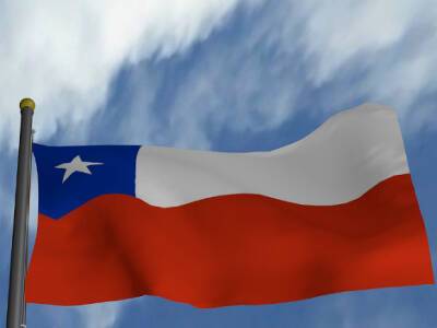 Альберто Фернандес - Себастьян Пиньер - Любимый пес нового президента Чили обзавелся почти 300 000 друзей - rosbalt.ru - Аргентина - Чили
