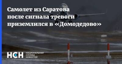 Самолет из Саратова после сигнала тревоги приземлился в «Домодедово» - nsn.fm - Москва
