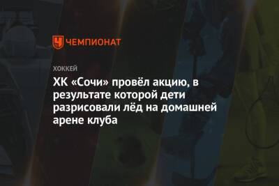 ХК «Сочи» провёл акцию, в результате которой дети разрисовали лёд на домашней арене клуба - championat.com - Сочи