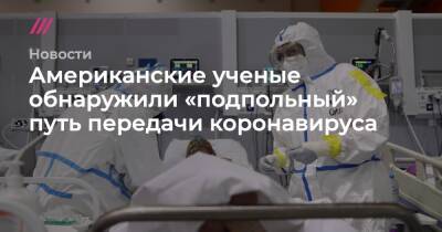 Американские ученые обнаружили «подпольный» путь передачи коронавируса - tvrain.ru - шт. Огайо