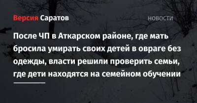 Роман Грибов - После ЧП в Аткарском районе, где мать бросила умирать своих детей в овраге без одежды, власти решили проверить семьи, где дети находятся на семейном обучении - nversia.ru - Саратовская обл.