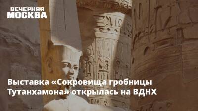 Выставка «Сокровища гробницы Тутанхамона» открылась на ВДНХ - vm.ru - Россия - Англия - Египет