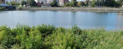 В 2022 году в Пензе планируют спроектировать четырехполосный мост через реку Суру - runews24.ru - Россия - Пенза