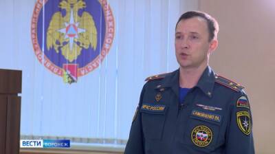 Воронежцам назвали самый опасный вид пиротехники - vestivrn.ru - Китай - Воронеж