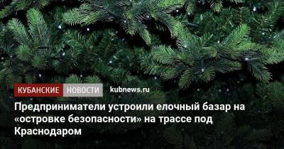 Предприниматели устроили елочный базар на «островке безопасности» на трассе под Краснодаром - kubnews.ru - Краснодар - Краснодар - Торговля