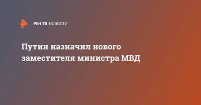 Владимир Путин - Аркадий Гостев - Путин назначил нового заместителя министра МВД - ren.tv - Россия