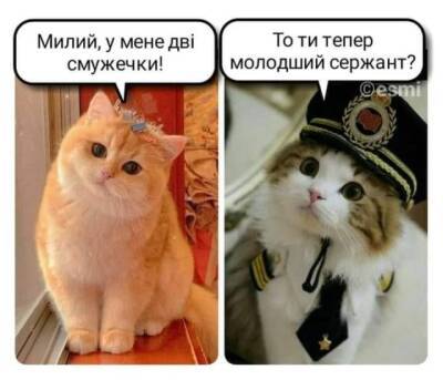 Сеть насмешили мемы и фотожабы про обязательный призыв украинок в армию - enovosty.com - Украина