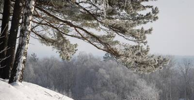 Снег и до -19°С ожидается в Беларуси в выходные - grodnonews.by - Белоруссия