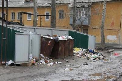 В Рязанской области на 3,8% вырастет тариф на вывоз мусора - rzn.mk.ru - Рязанская обл.