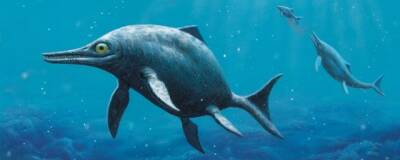 Ихтиозавры достигли размеров современных китов всего за 2,5 млн лет эволюции - runews24.ru - шт. Невада - шт. Калифорния