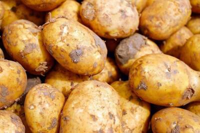 Картофель и томаты подорожали до 8% в Новосибирской области - novos.mk.ru - Новосибирская обл.