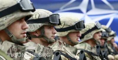 Турция может принять участие в операции НАТО в Донбассе - rusonline.org - Турция - Анкара