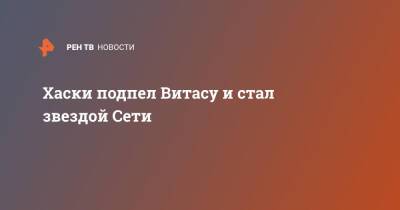 Хаски подпел Витасу и стал звездой Сети - ren.tv