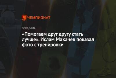 Ислам Махачев - «Помогаем друг другу стать лучше». Ислам Махачев показал фото с тренировки - championat.com