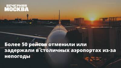 Более 50 рейсов отменили или задержали в столичных аэропортах из-за непогоды - vm.ru - Москва - Россия