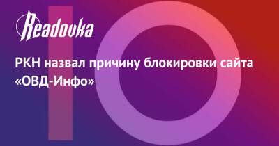 РКН назвал причину блокировки сайта «ОВД-Инфо» - readovka.news - Россия
