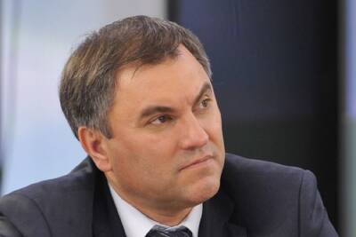 Вячеслав Володин - Володин рассказал о важных законах, вступающих в силу в 2022 году - mk.ru