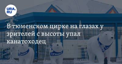 В тюменском цирке на глазах у зрителей с высоты упал канатоходец. Видео - ura.news - Россия - Тюмень