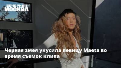 Черная змея укусила певицу Maeta во время съемок клипа - vm.ru