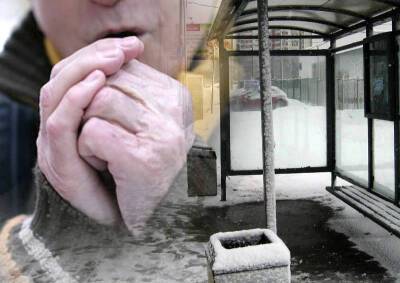 Москвичи замерзают на остановках в ожидании транспорта - mskgazeta.ru - Москва