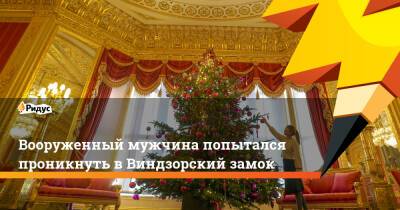 Елизавета II - Вооруженный мужчина попытался проникнуть в Виндзорский замок - ridus.ru - Англия