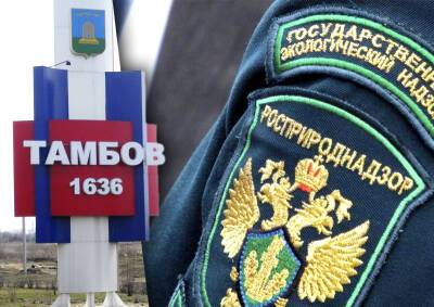Максим Косенков - Компания претендента на пост мэра Тамбова будет судиться с Росприроднадзором - mskgazeta.ru - Тамбов - Тамбовская обл.