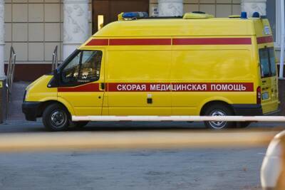 В Тюмени во время циркового выступления упал канатоходец, прокуратура проводит проверку - znak.com - Тюмень - Тюменская обл. - округ Центральный, Тюмень