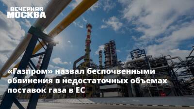 Сергей Куприянов - «Газпром» назвал беспочвенными обвинения в недостаточных объемах поставок газа в ЕС - vm.ru - Россия - Европа