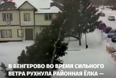 Новогоднюю елку сдуло ветром в селе под Новосибирском - novos.mk.ru - Новосибирск