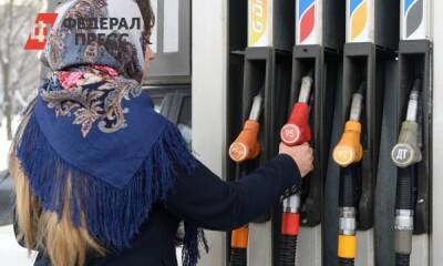 Экономист ответил, подорожает ли бензин до 100 рублей за литр - fedpress.ru - Москва