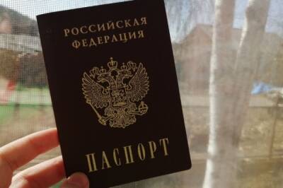 МВД: почти 668 000 иностранцев получили гражданство РФ в 2021 году - aif.ru - Россия
