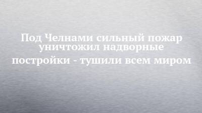 Под Челнами сильный пожар уничтожил надворные постройки - тушили всем миром - chelny-izvest.ru - Россия - Набережные Челны
